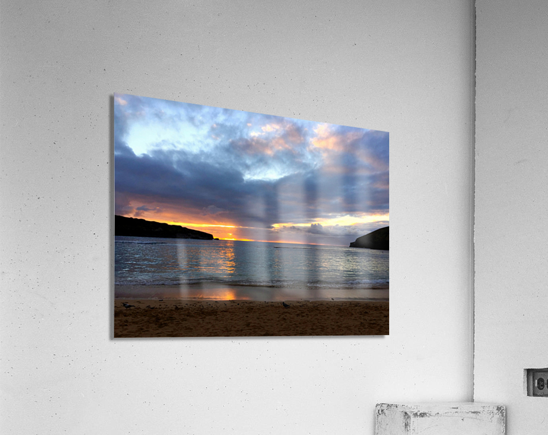 Paradise Found Acrylic Print