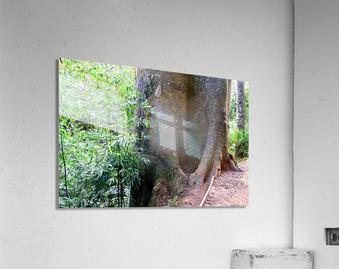Got Stumped  Acrylic Print