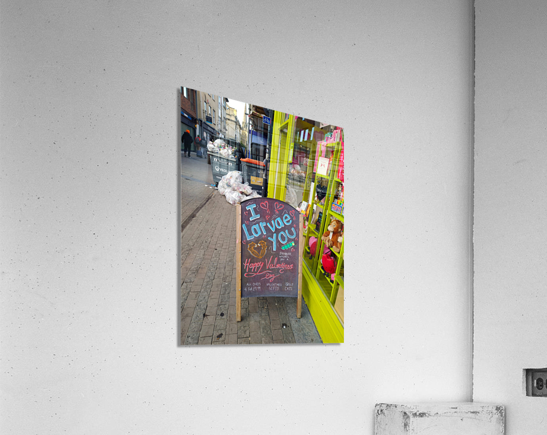 I Larvae You No Backbone Love Impression acrylique