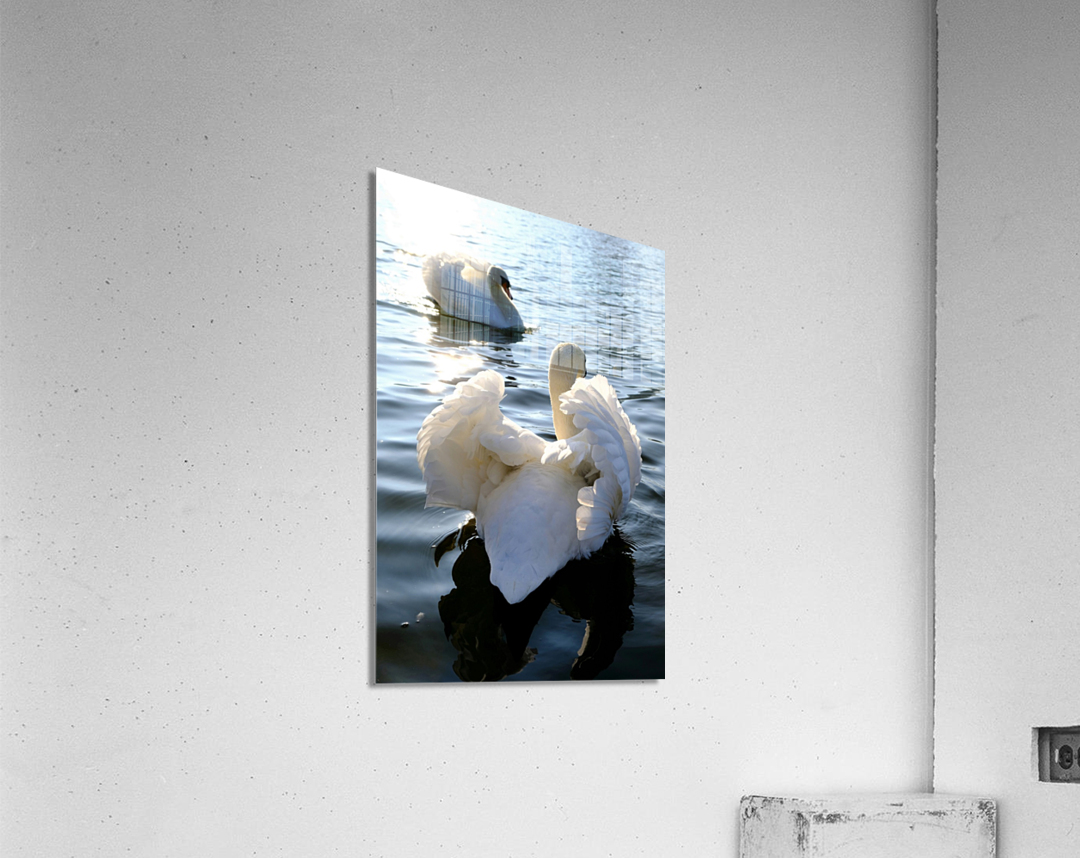 Behind Wings of Love 1A Acrylic Print