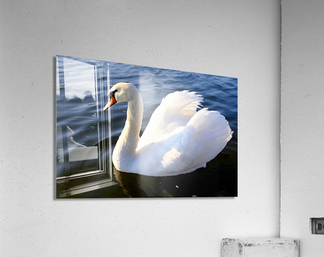 Wings of Love 1B Acrylic Print