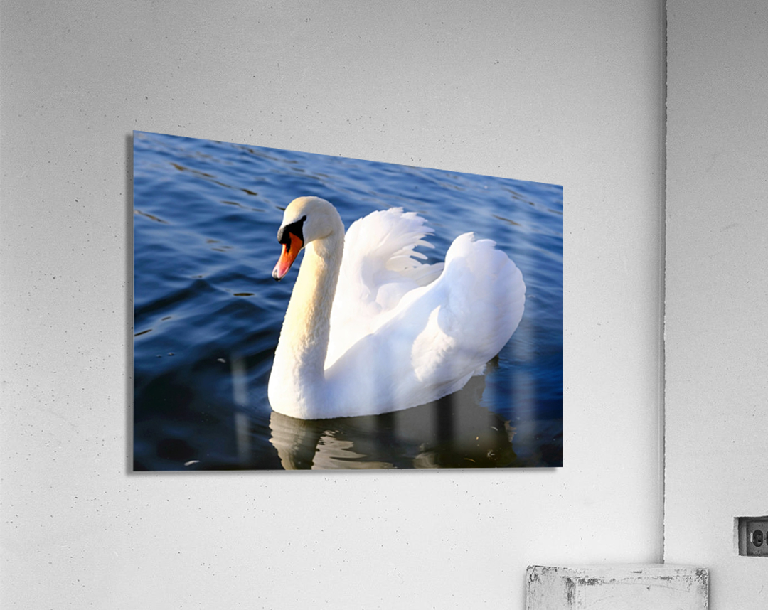 Wings of Love 1A Acrylic Print