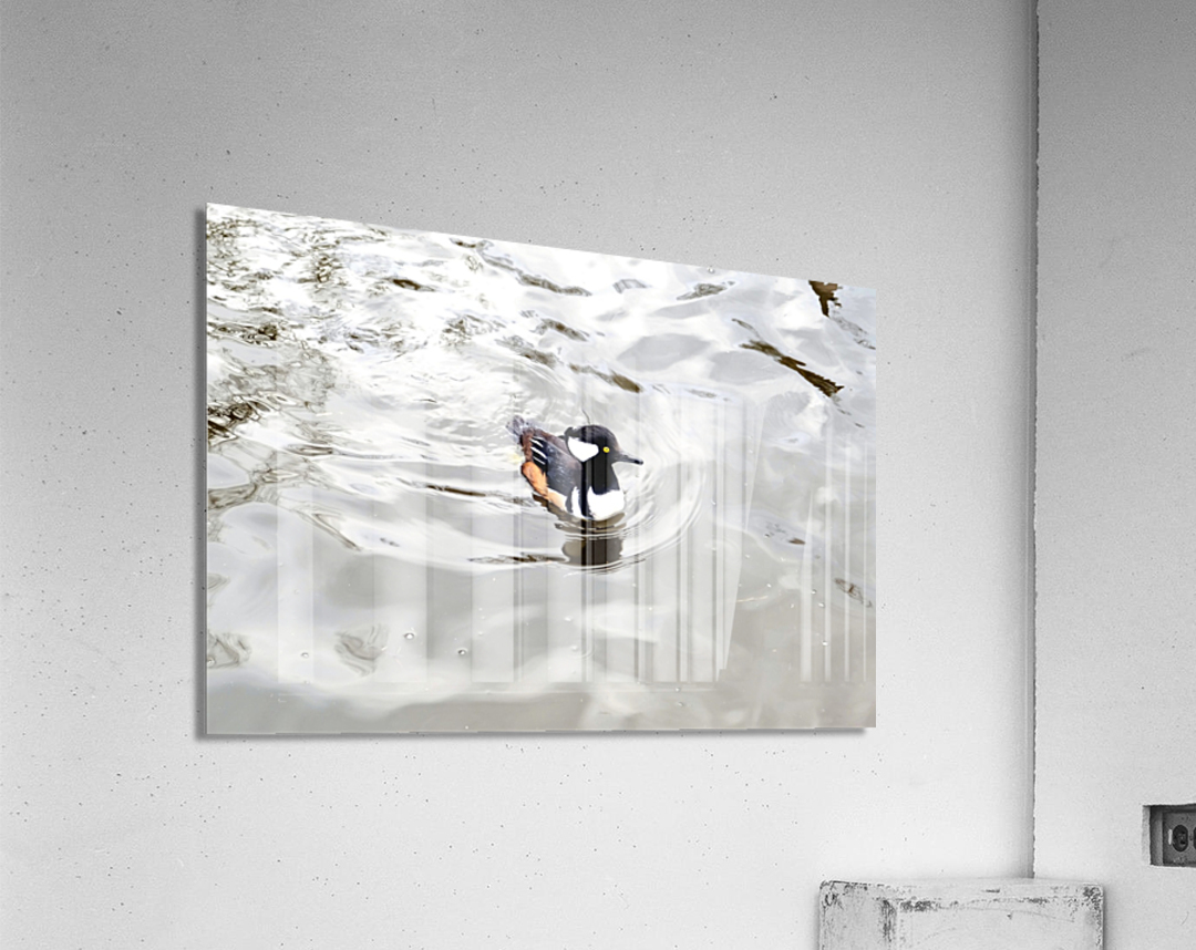 Only The Lonely Loon Impression acrylique