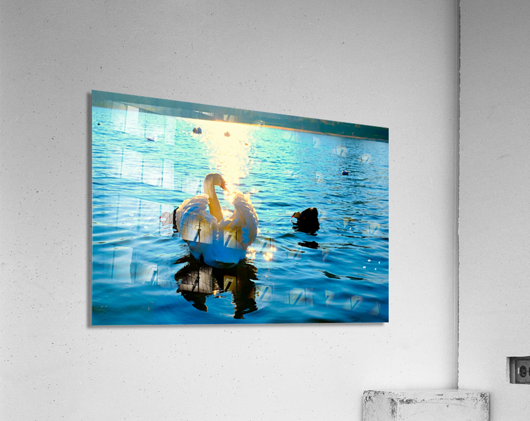 Luminous Voyage Acrylic Print