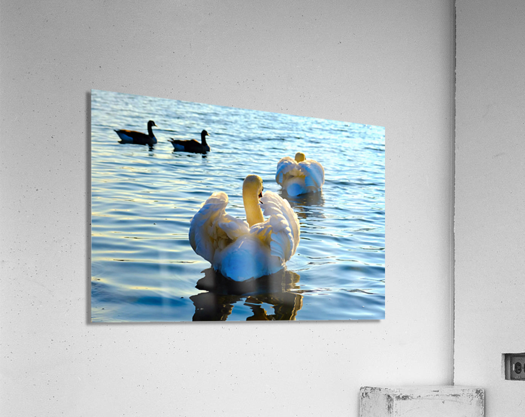 Behind Wings of Love Acrylic Print