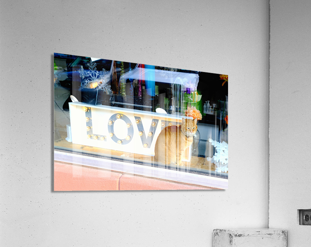 Window Watcher Acrylic Print