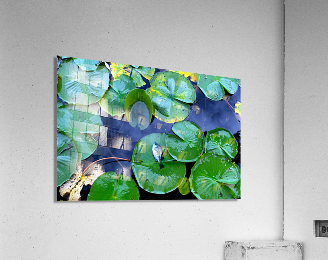 Resting Above the Depths Acrylic Print