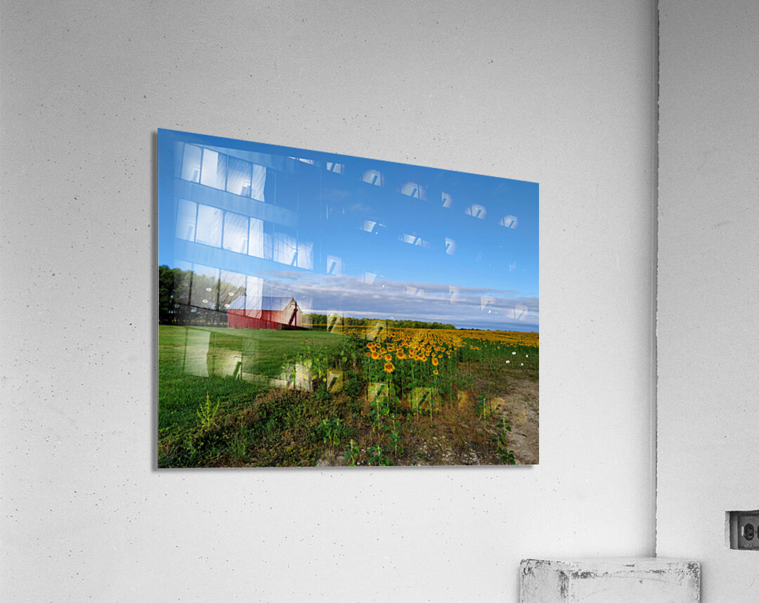 Barn & Blossoms Impression acrylique