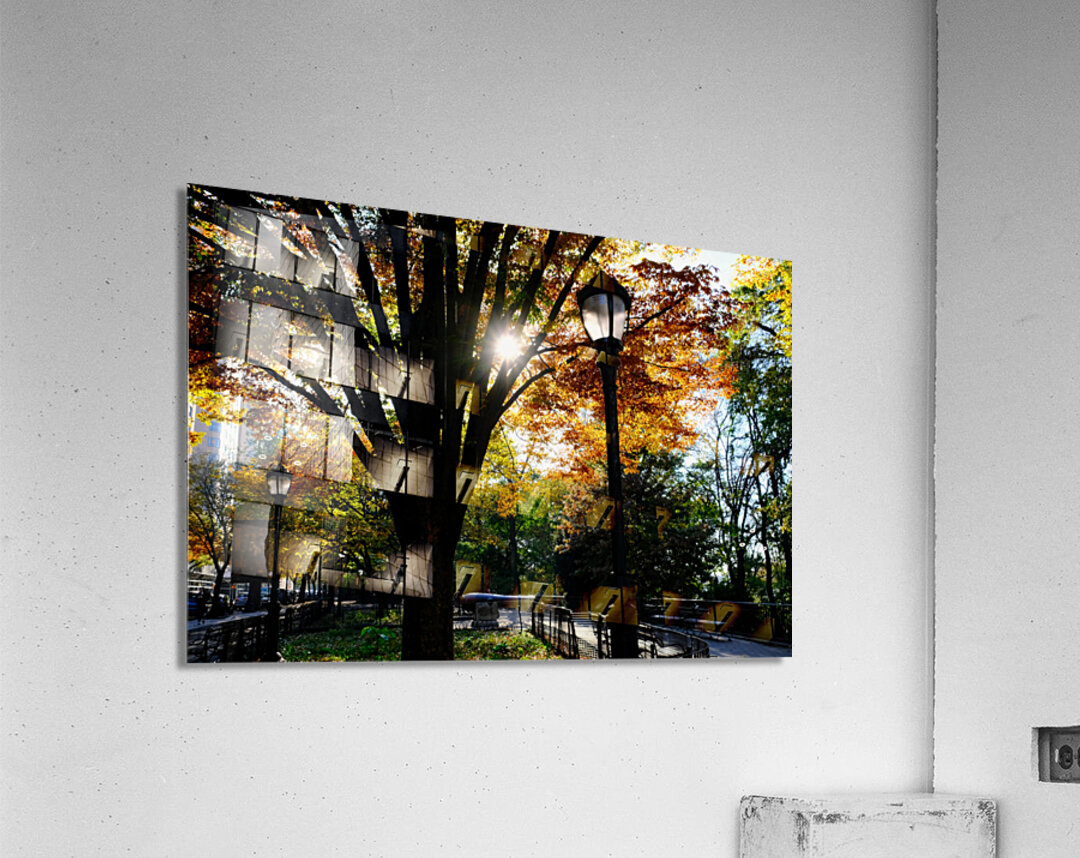 Shades of Autumn Acrylic Print