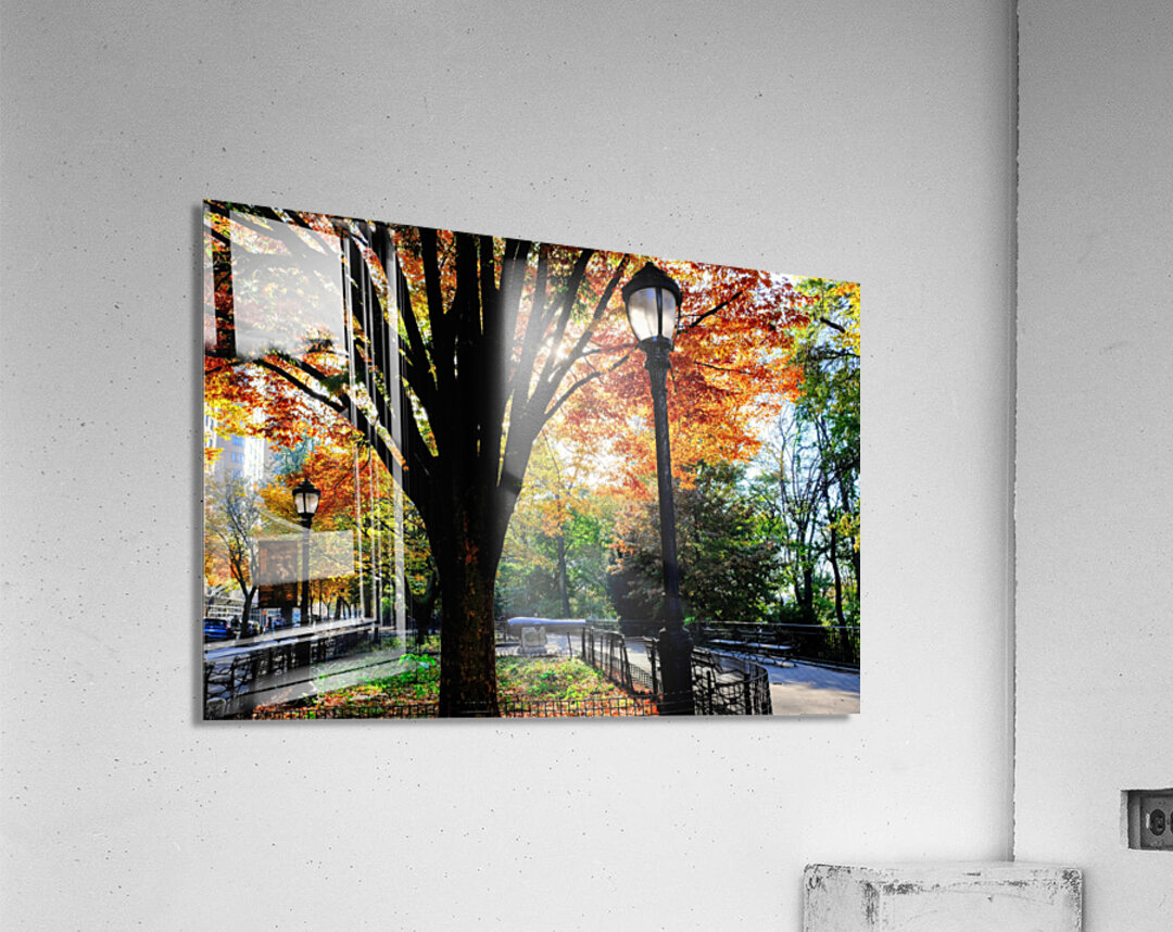 Autumn Radiance Acrylic Print