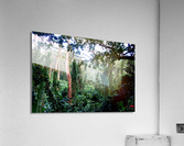 Welcome to Jurassic Park  Acrylic Print