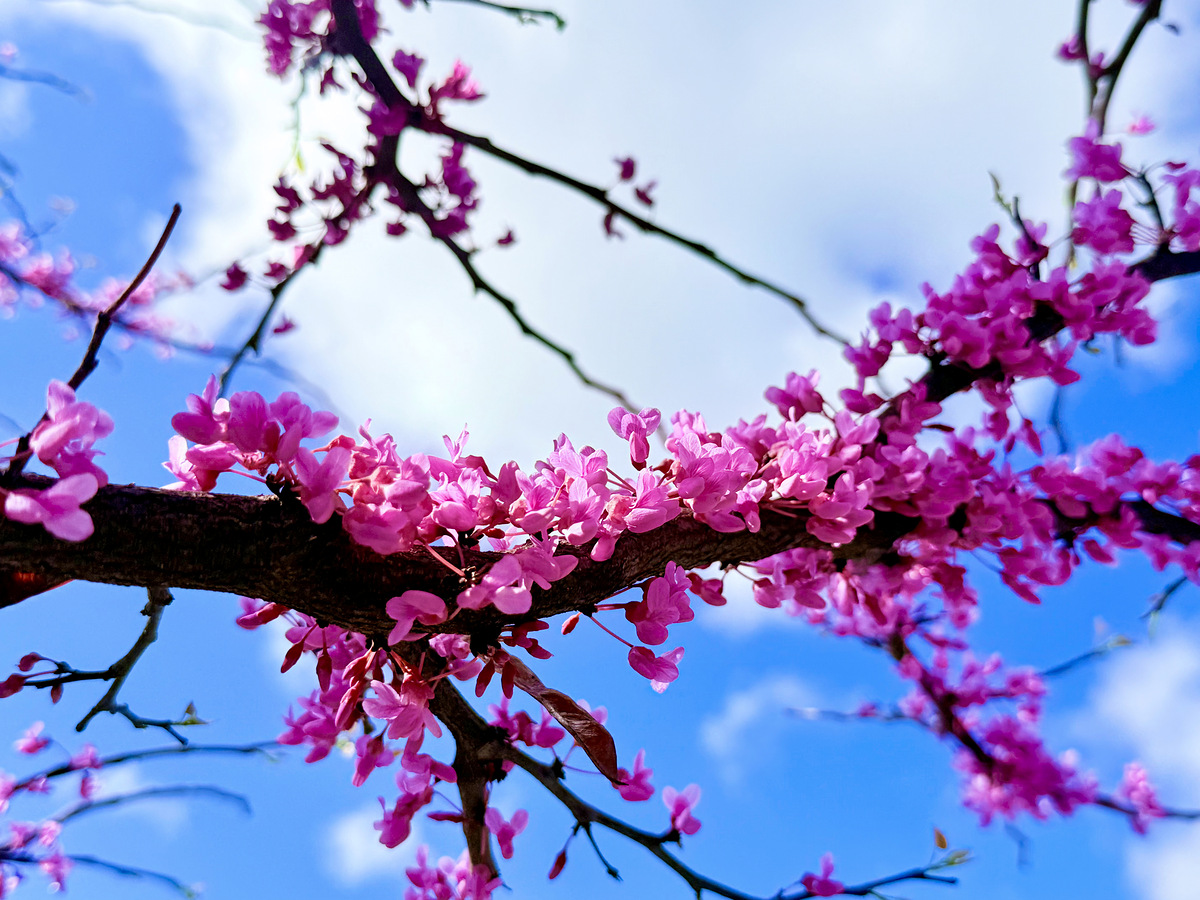 Impression de cadre personnalisé