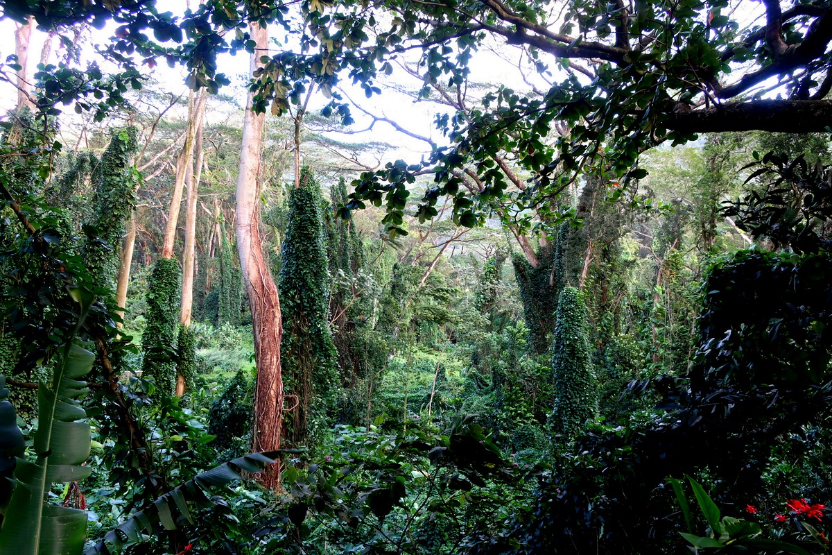 Impression de cadre personnalisé
