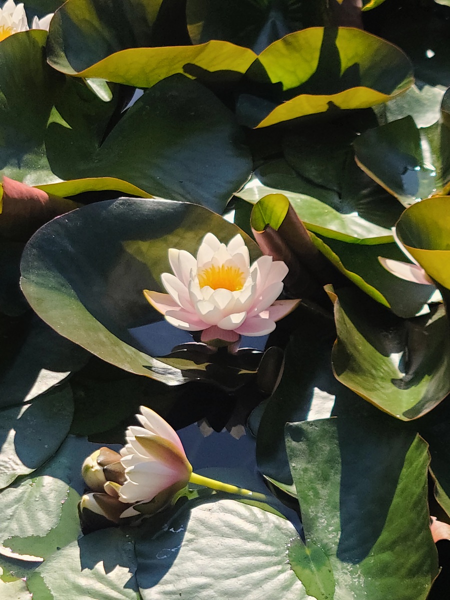 Impression de cadre personnalisé