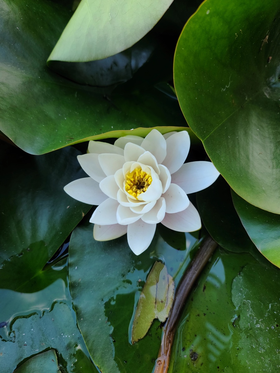 Impression de cadre personnalisé