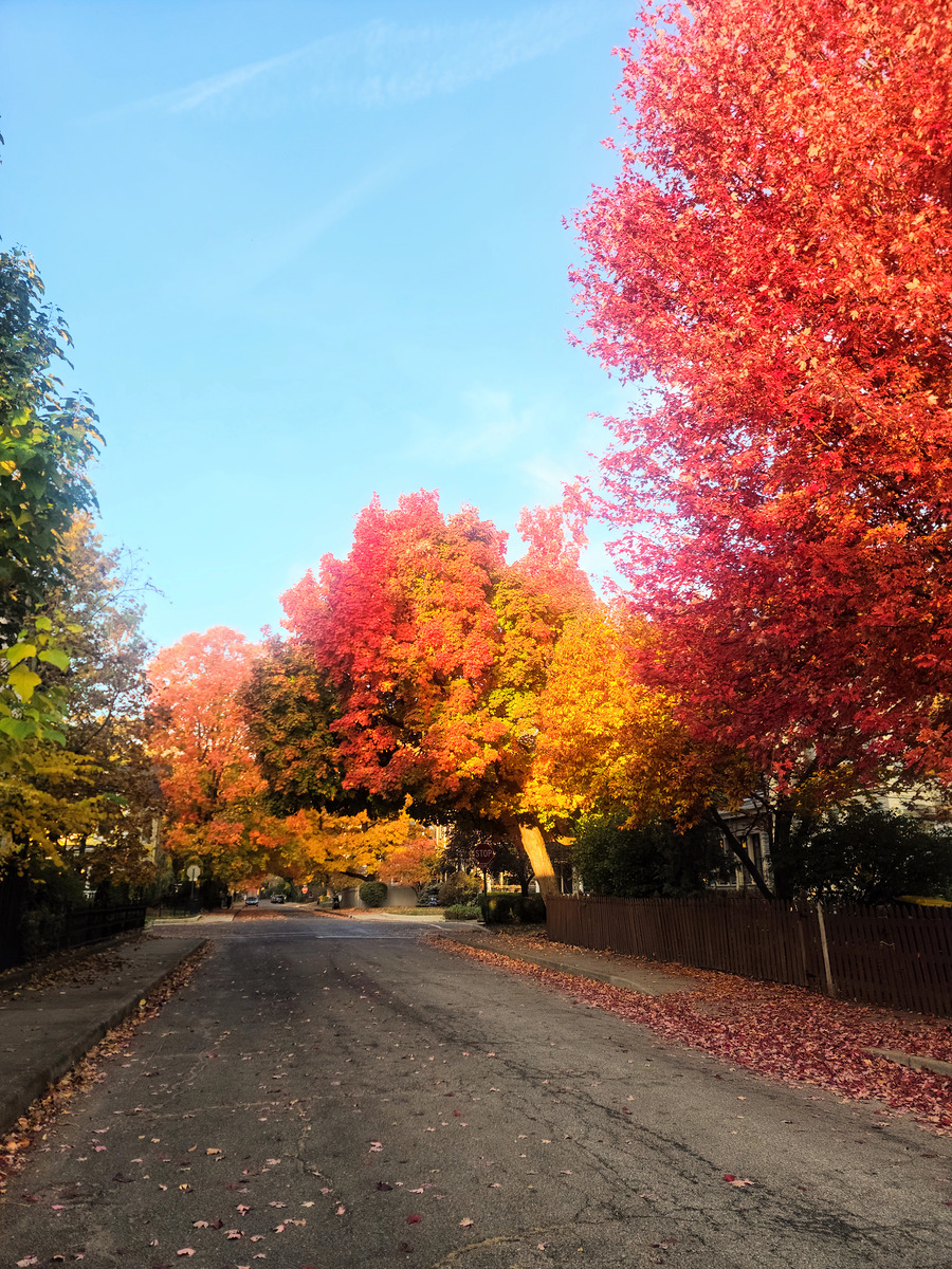Impression de cadre personnalisé