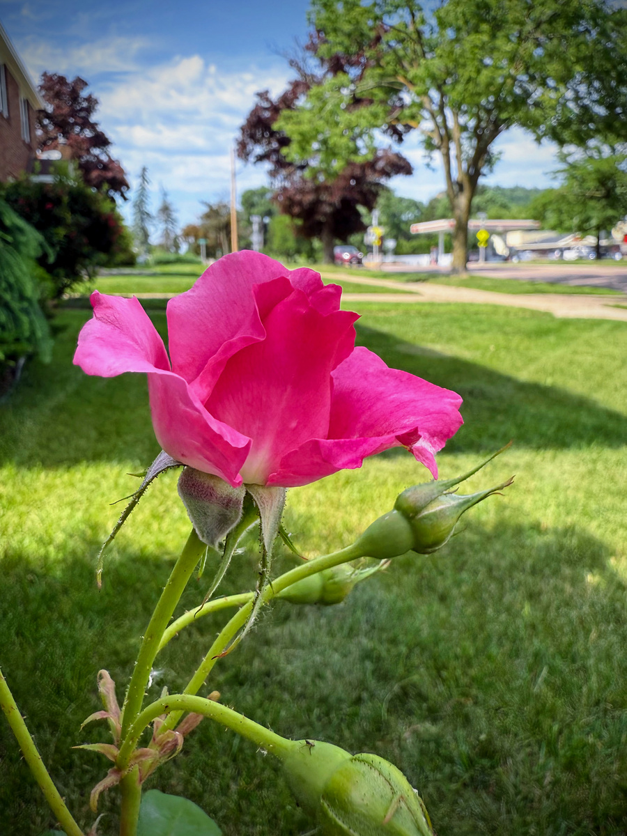 Impression de cadre personnalisé