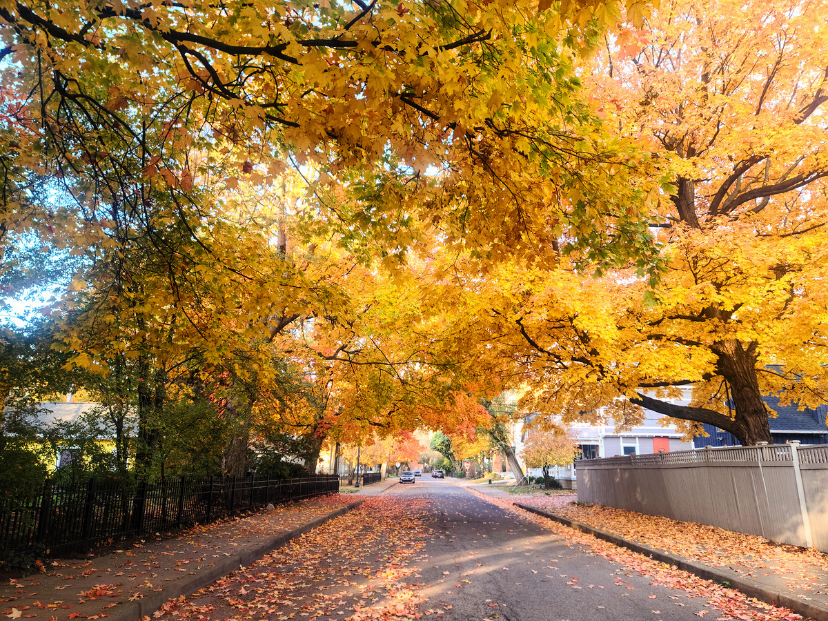 Impression de cadre personnalisé