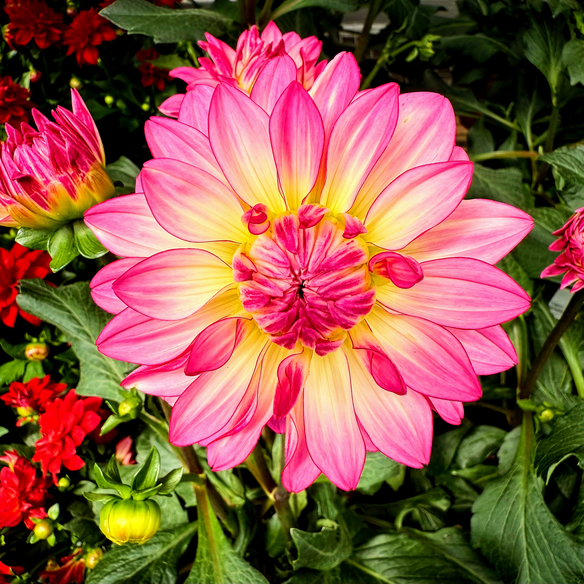 Impression de cadre personnalisé