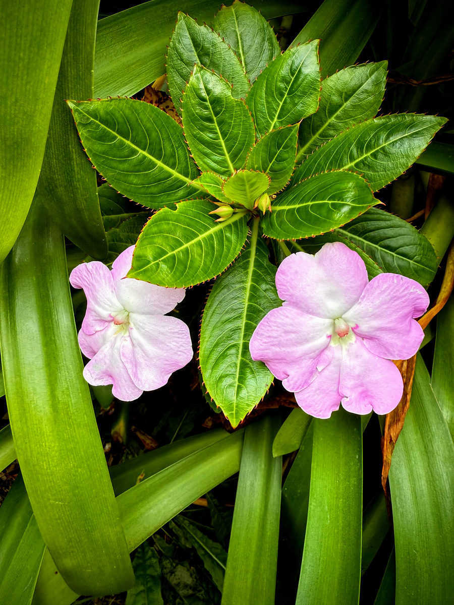 Impression de cadre personnalisé