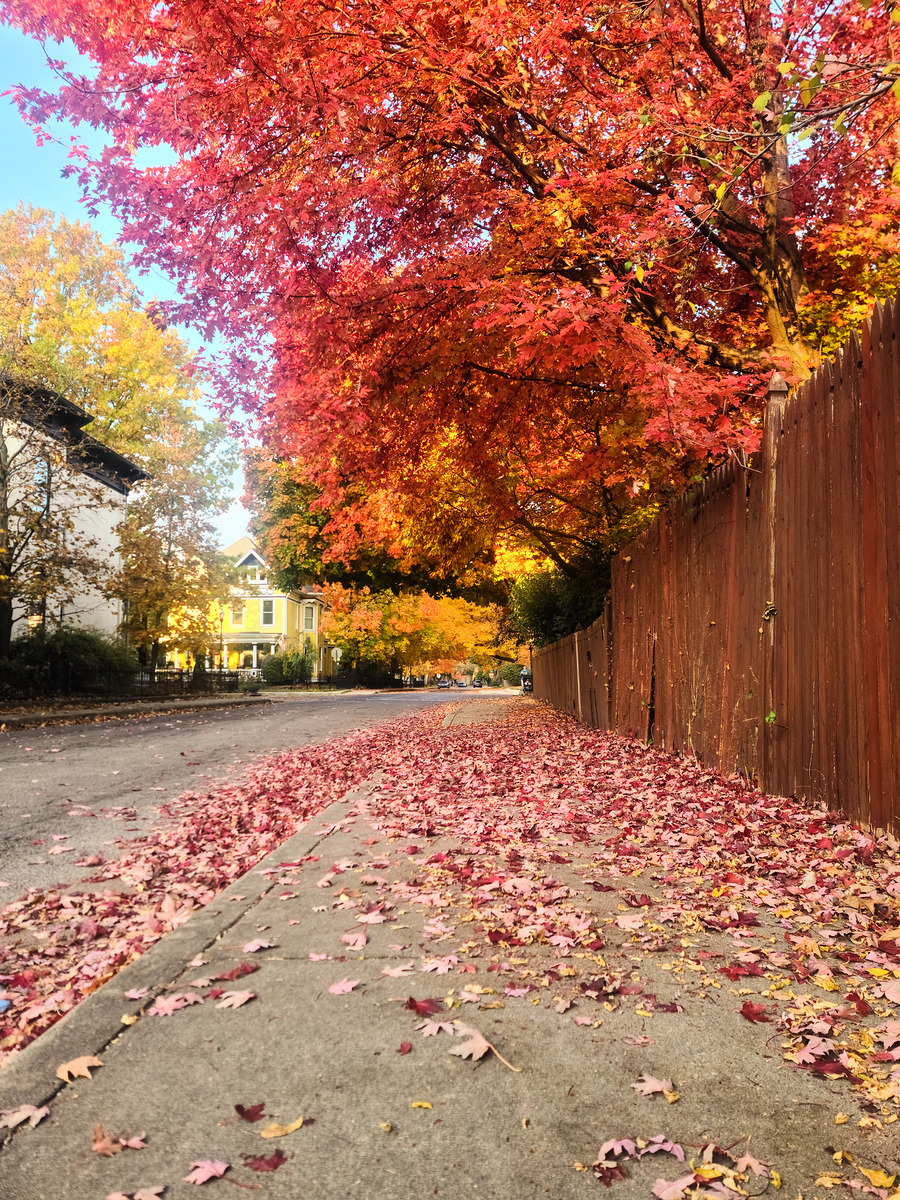 Impression de cadre personnalisé
