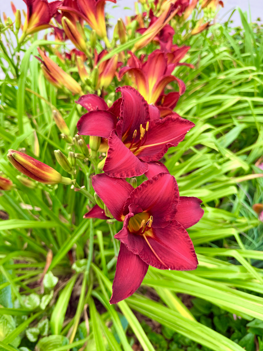 Impression de cadre personnalisé