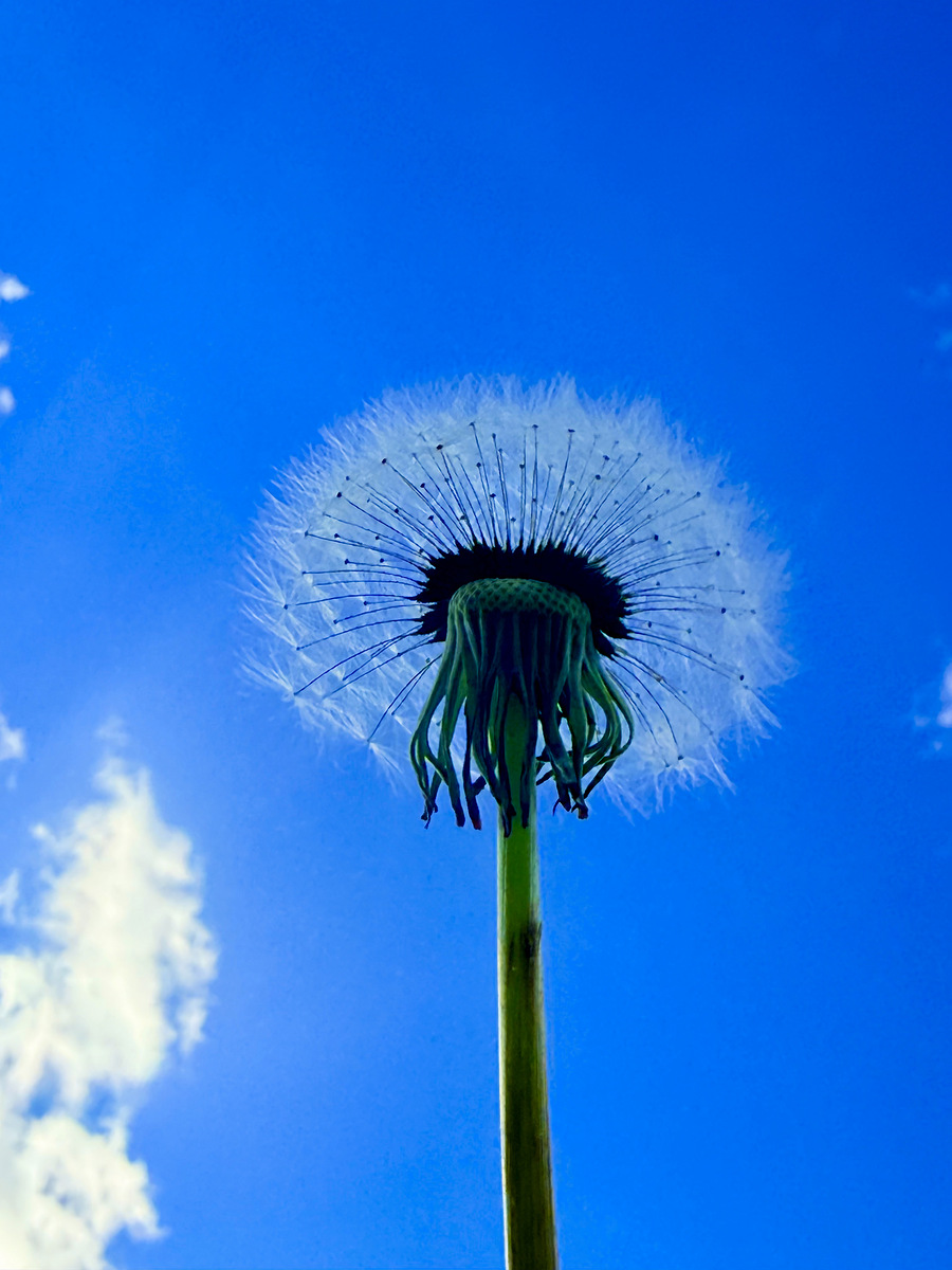 Impression de cadre personnalisé