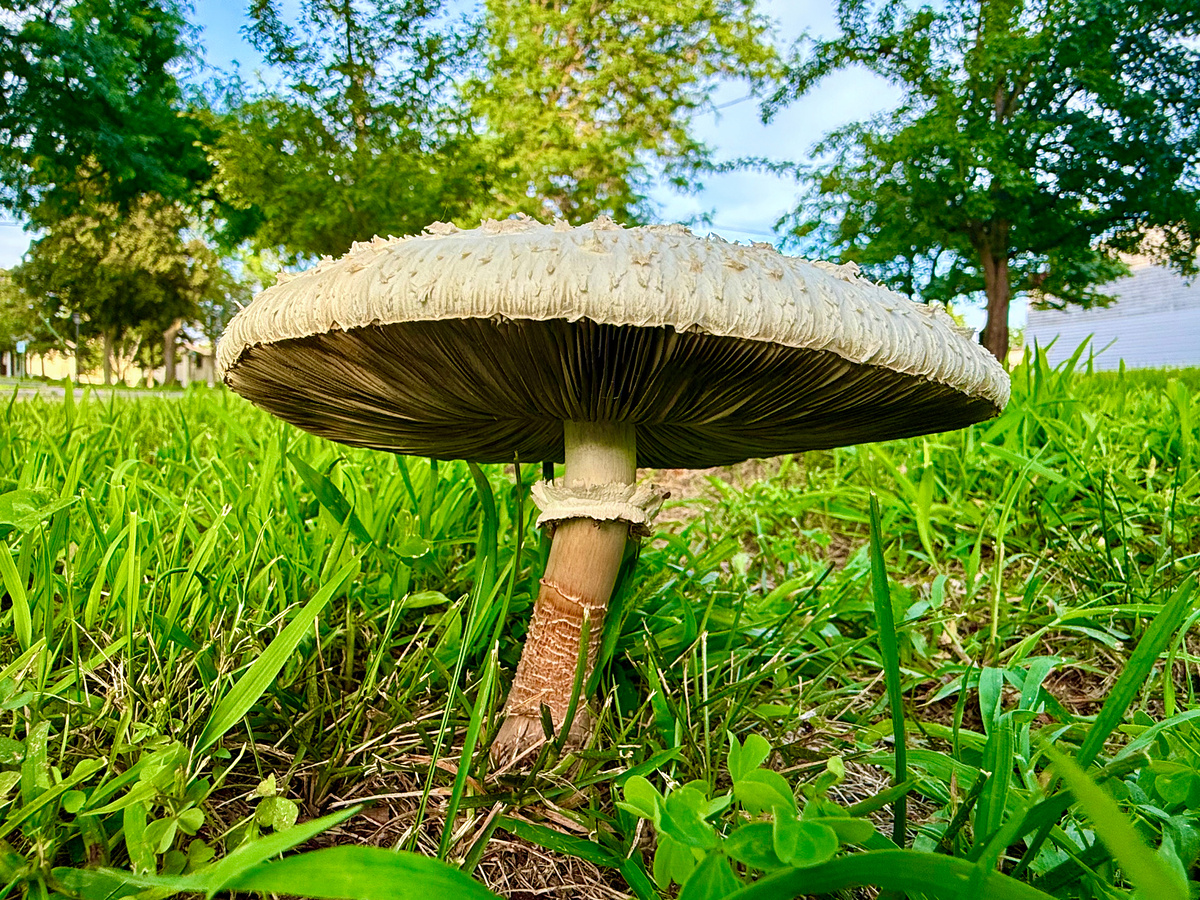 Impression de cadre personnalisé