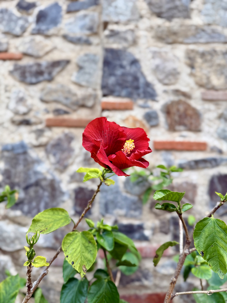 Impression de cadre personnalisé