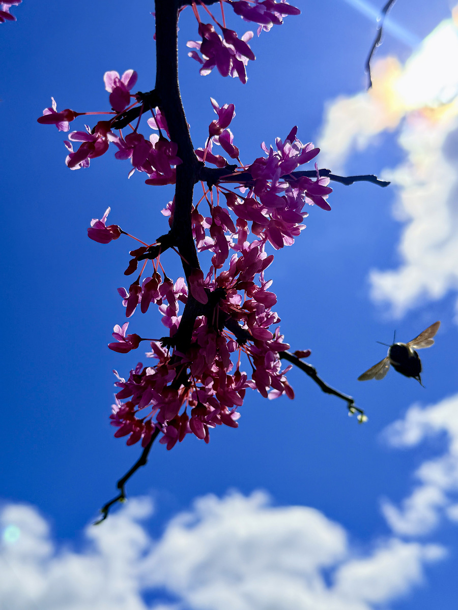 Impression de cadre personnalisé