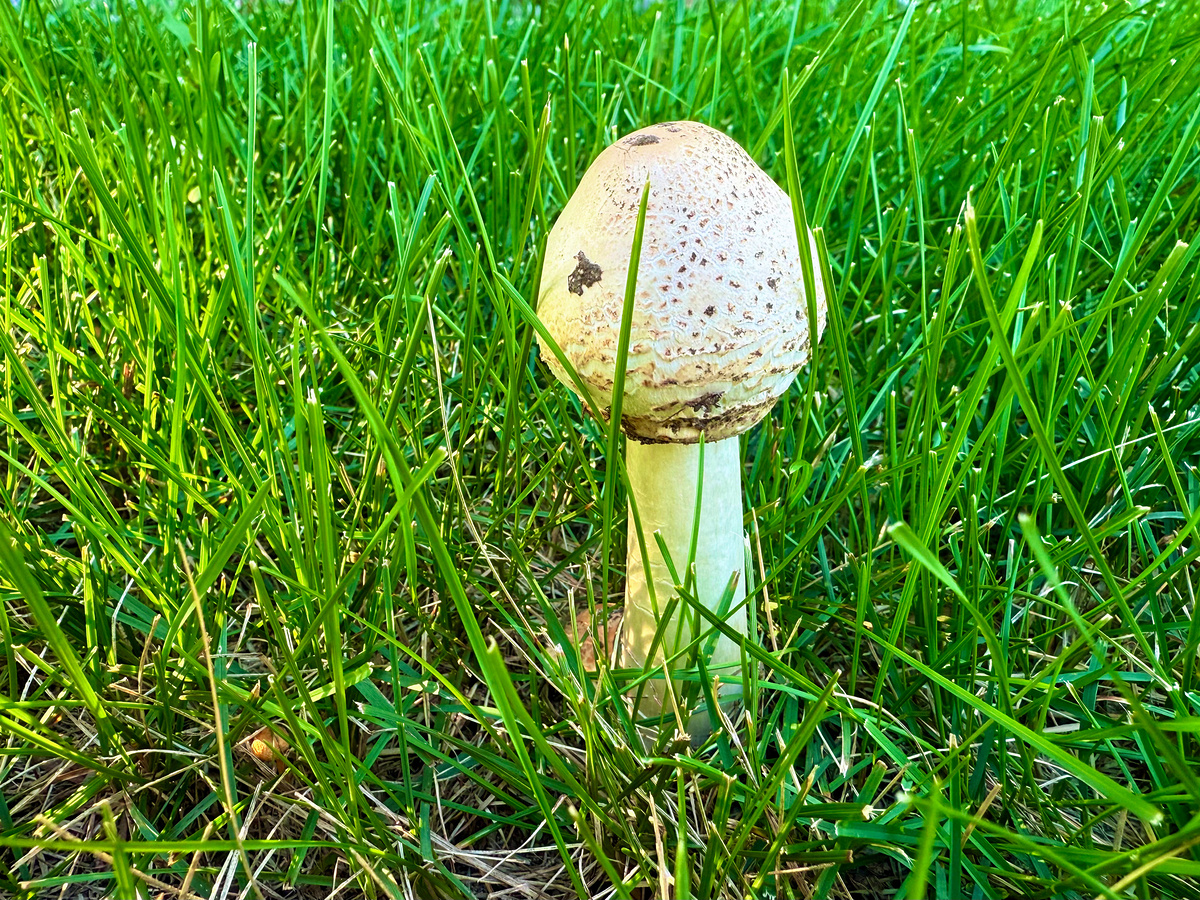 Impression de cadre personnalisé