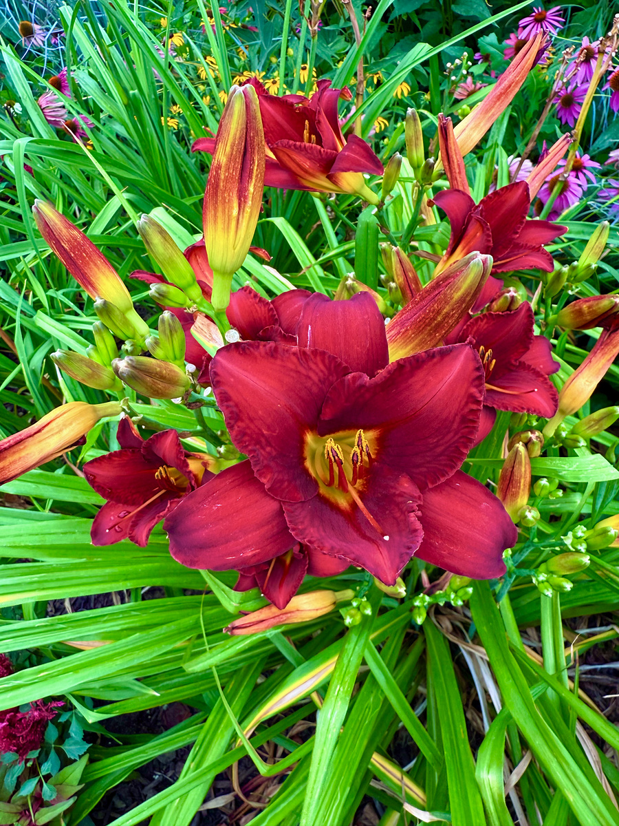 Impression de cadre personnalisé