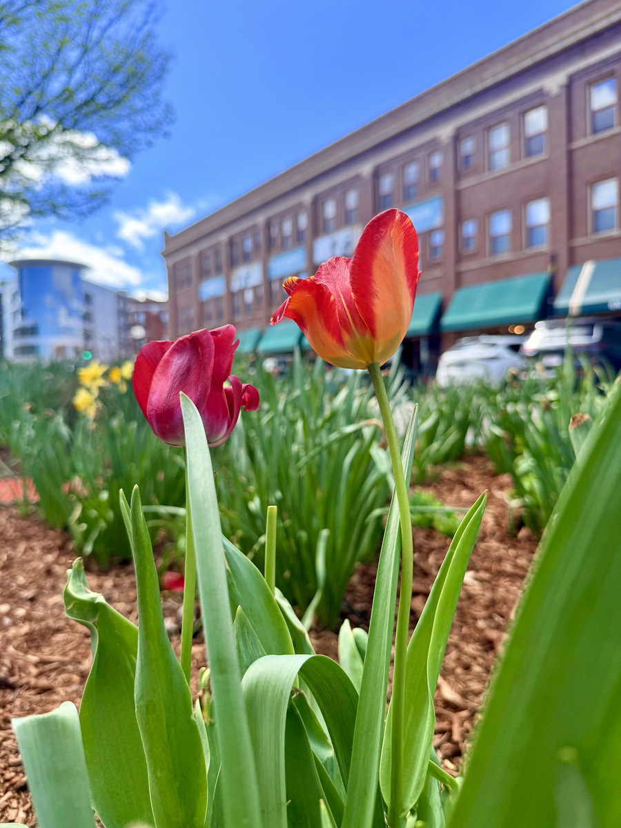 Impression de cadre personnalisé