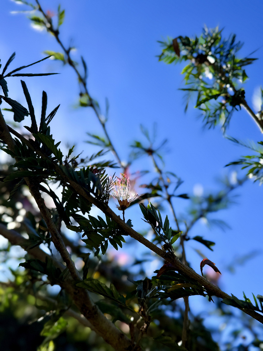 Impression de cadre personnalisé