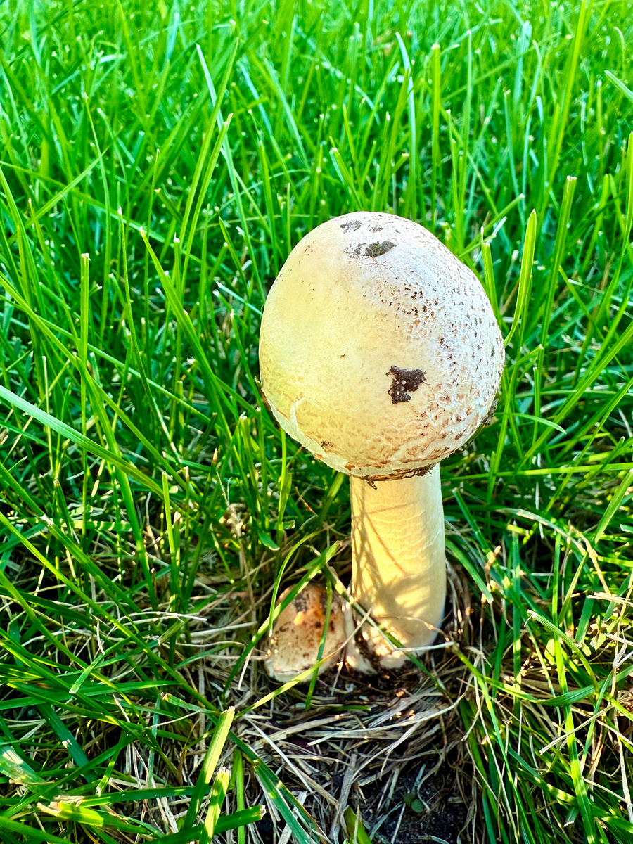 Impression de cadre personnalisé