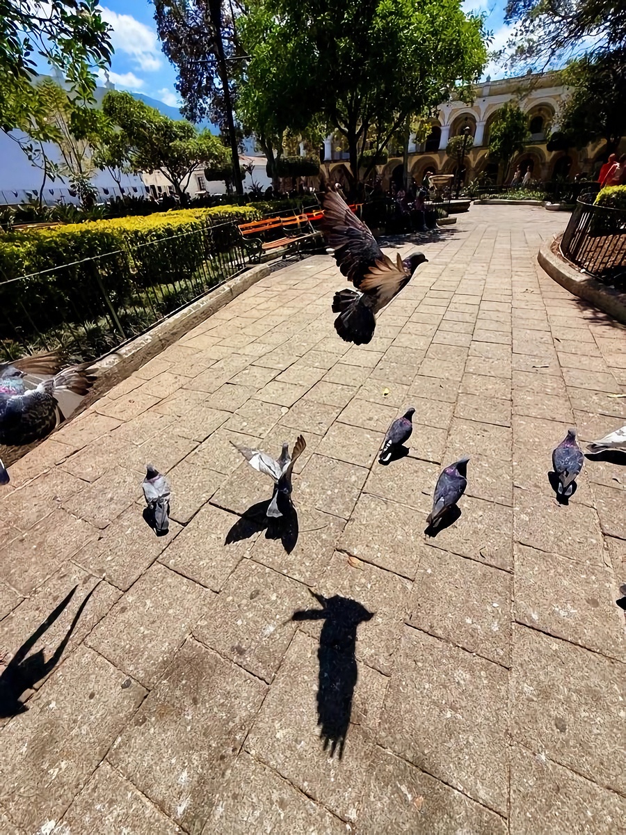 Impression de cadre personnalisé