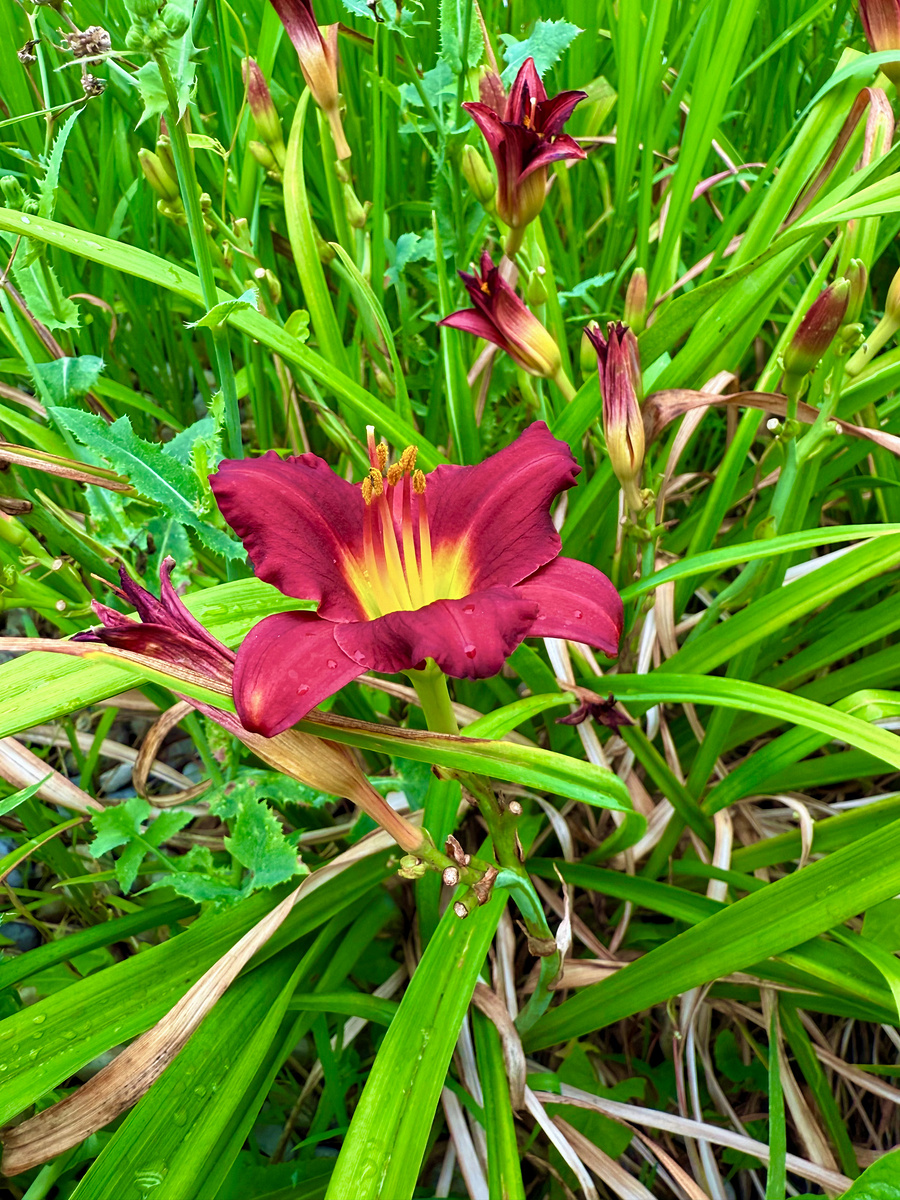 Impression de cadre personnalisé