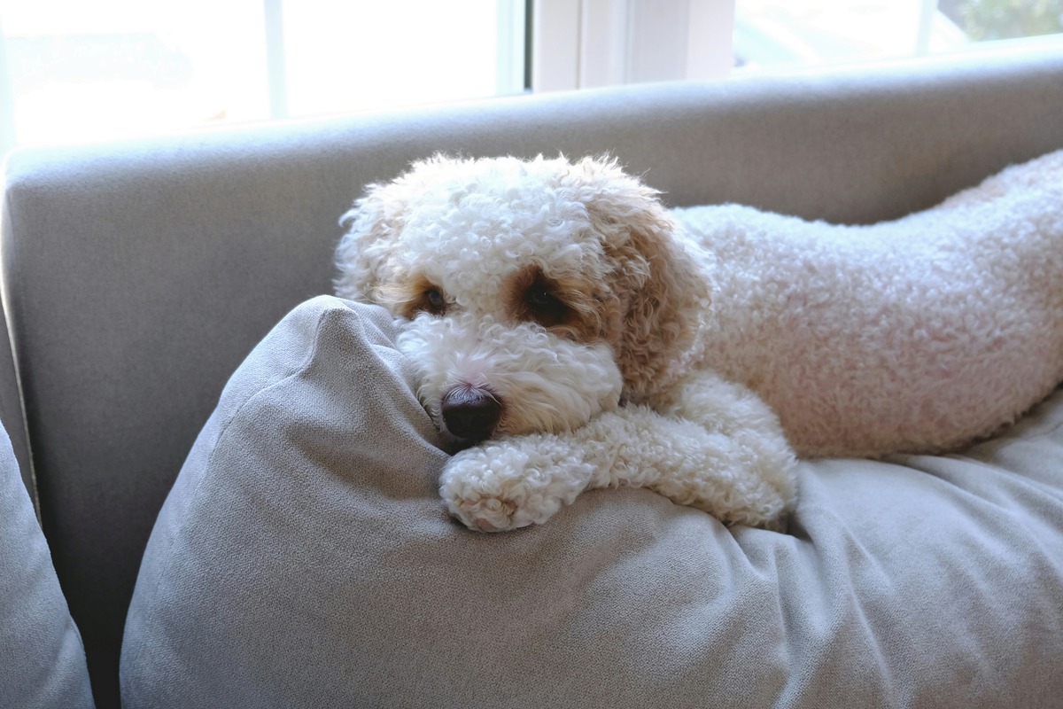 Impression de cadre personnalisé