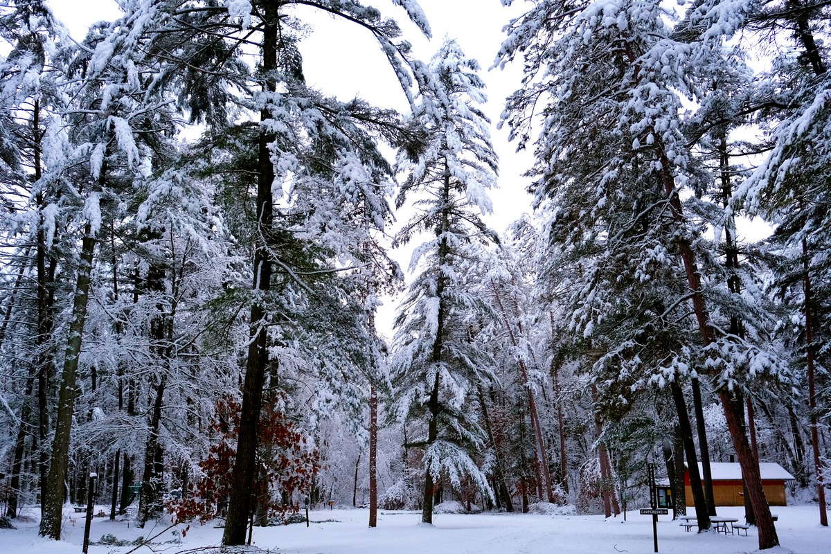 Impression de cadre personnalisé
