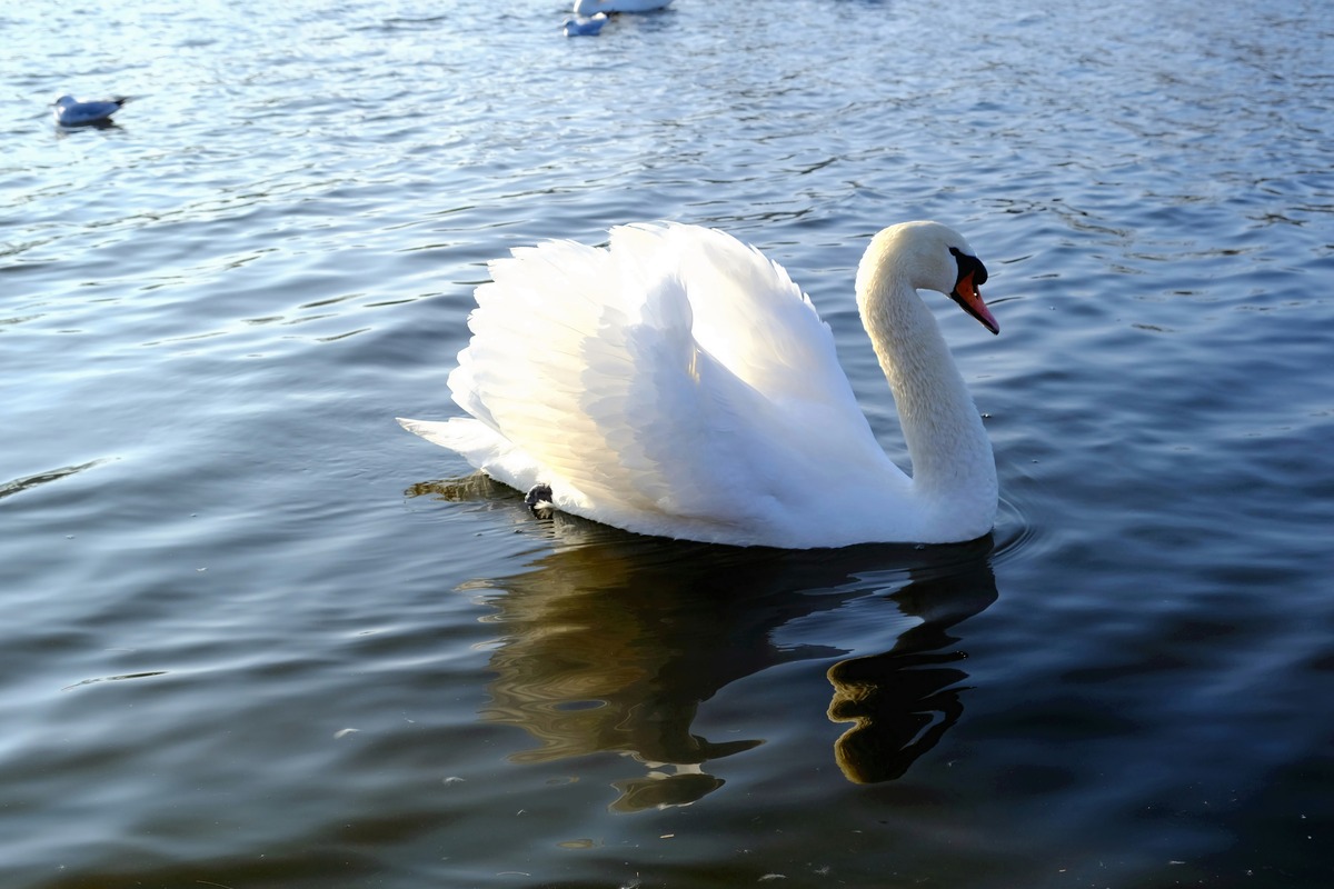 Impression de cadre personnalisé