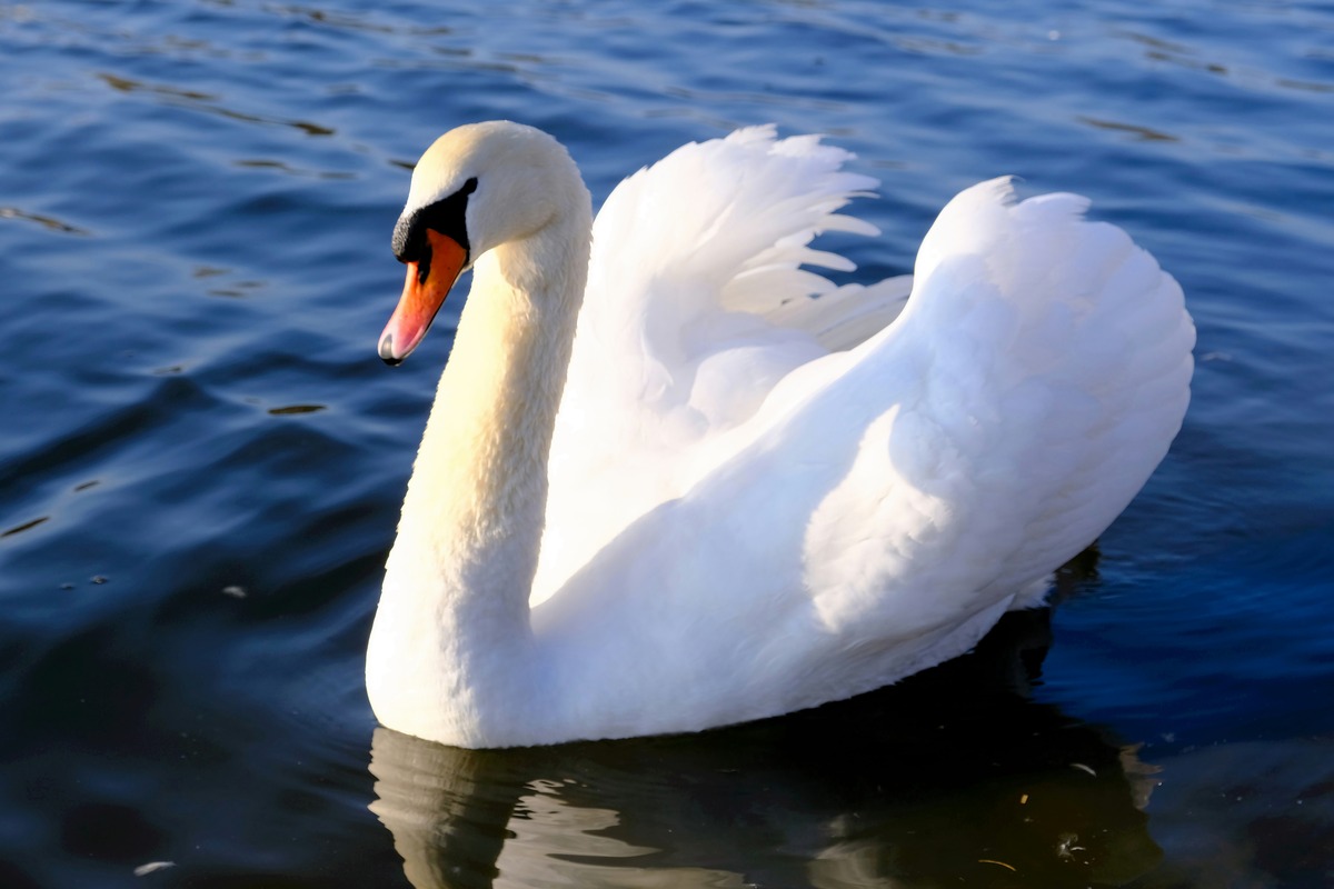 Impression de cadre personnalisé