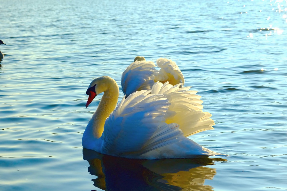 Impression de cadre personnalisé