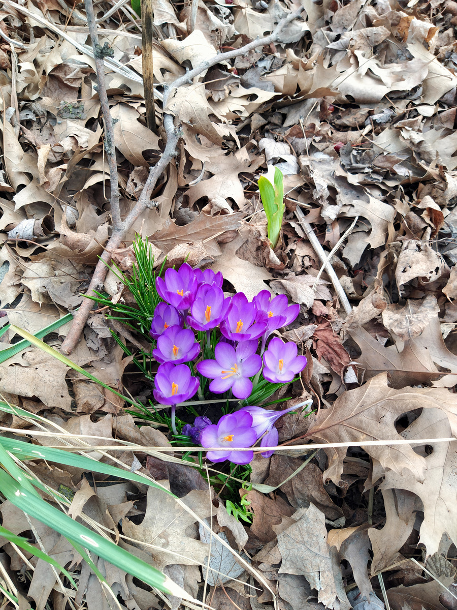 Impression de cadre personnalisé