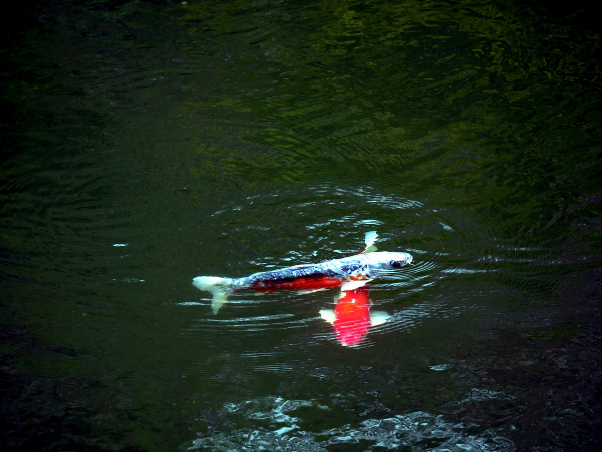 Impression de cadre personnalisé