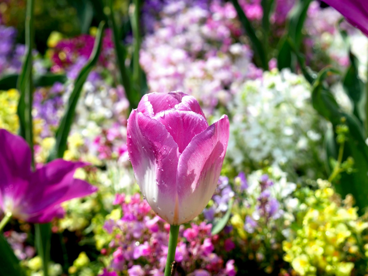 Impression de cadre personnalisé