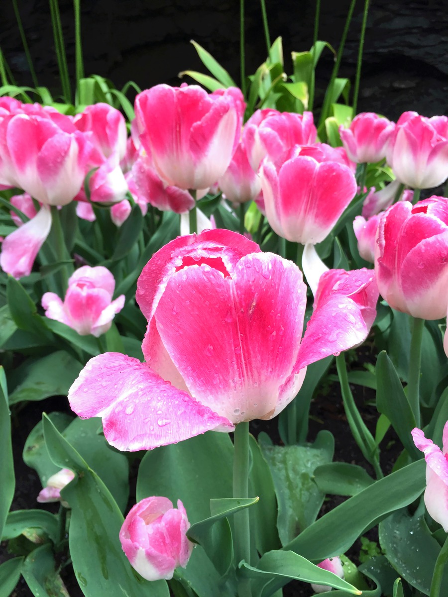 Impression de cadre personnalisé