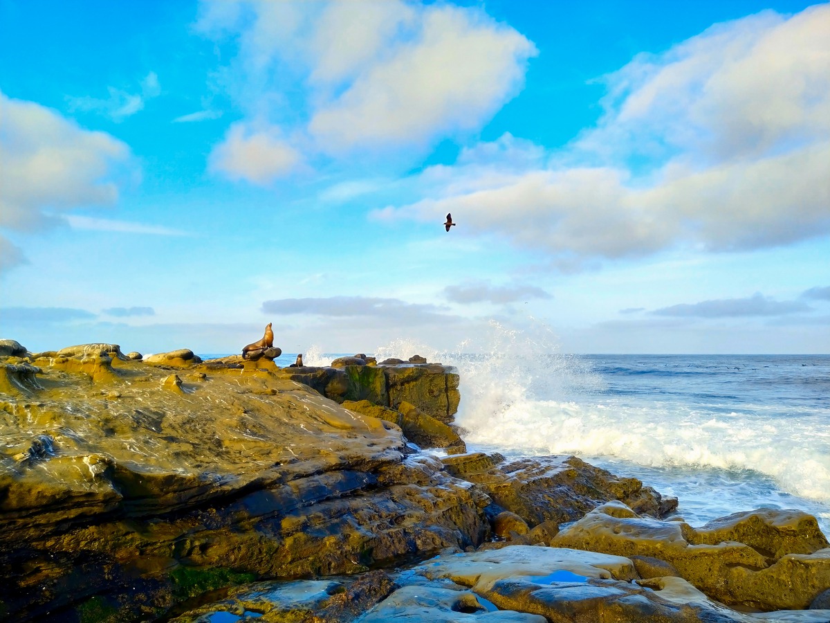 Impression de cadre personnalisé