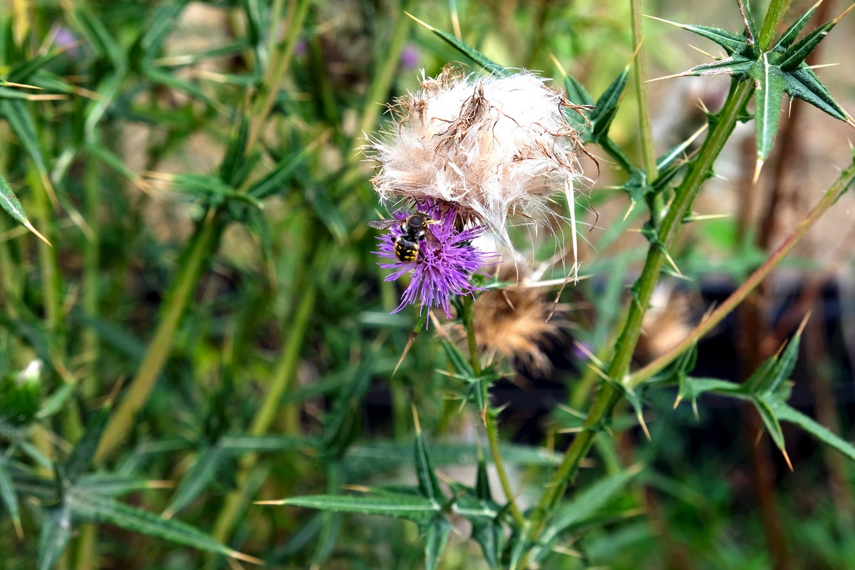 Impression de cadre personnalisé