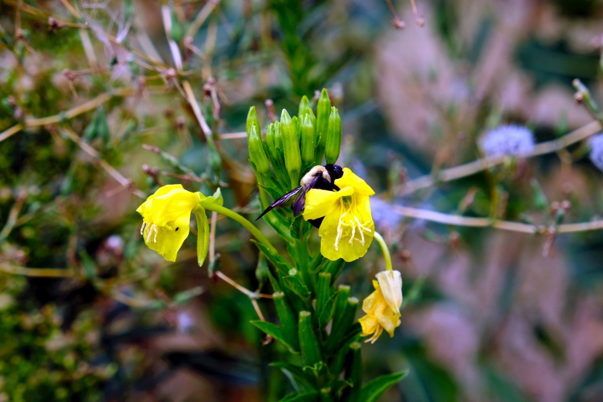 Impression de cadre personnalisé