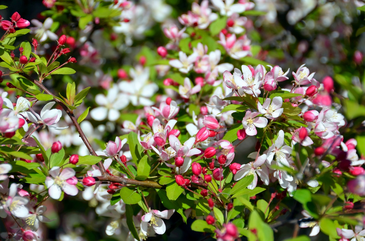 Impression de cadre personnalisé
